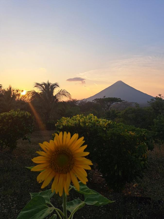 Hostel Santa Cruz Ometepe Altagracia Exterior photo